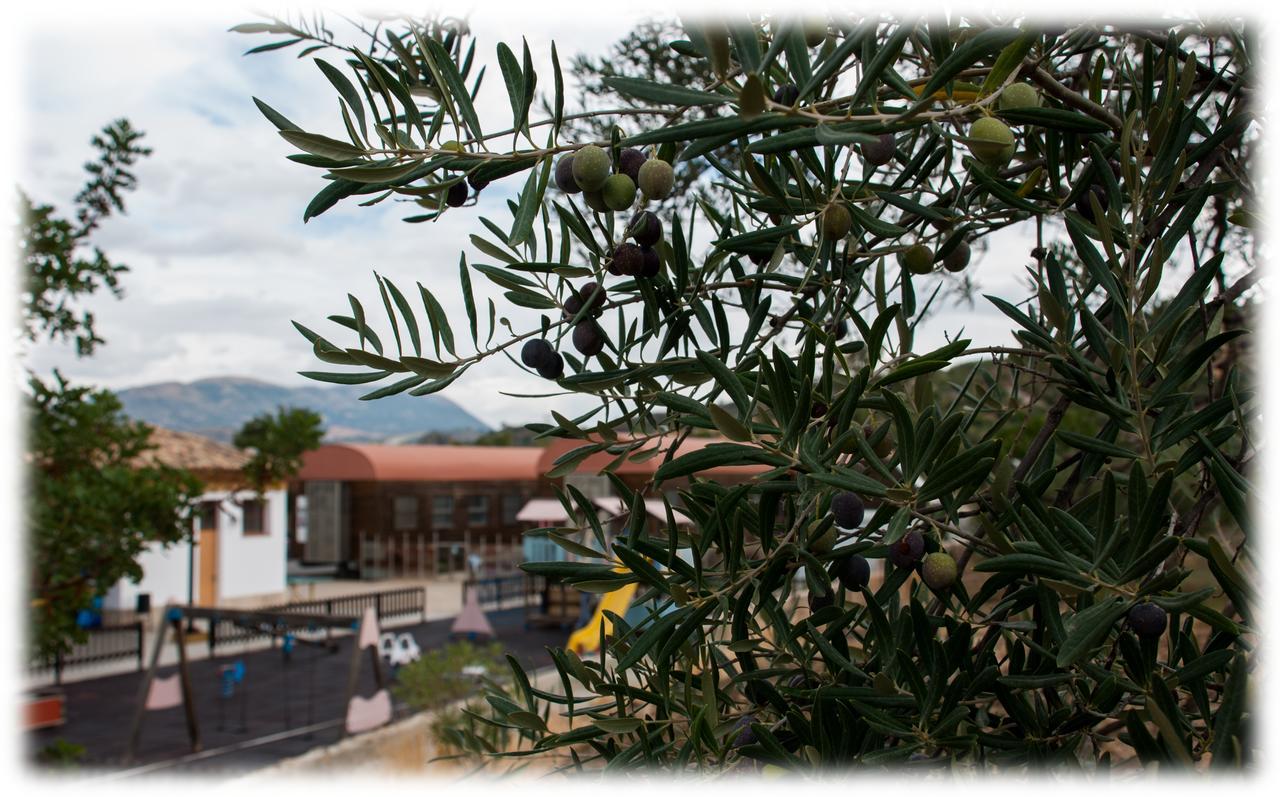 Hotel - Restaurante Estacion Via Verde Olvera Exterior photo